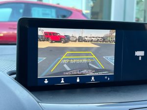 0075fba9ad09a10a2b97d6808b8d951ex