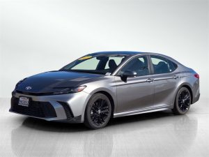 01d2e5d107a4eb5a3914c6fd6be99475x