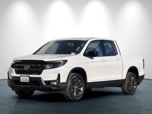 026214c9e6f3044ce79209c5f1741f7bx