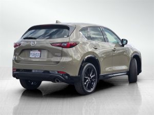 0f0a23c6df663c13fc35cc0169412566x