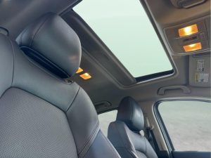 13e830d1e4dbf16199c22850a88fd6e5x