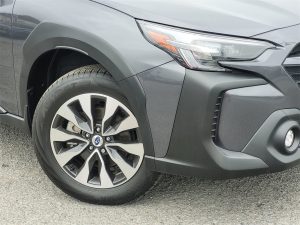 17a2fd6dfb9aeec9aa6af009c31cc9e5x