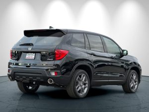 17a48956f93e2f5f2feb5d4c5a3a18a6x