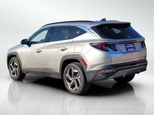 19dfb78c03dbb78acb212b550f769d4dx