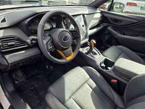 267bab1062123e13d8c4d519e973d02fx