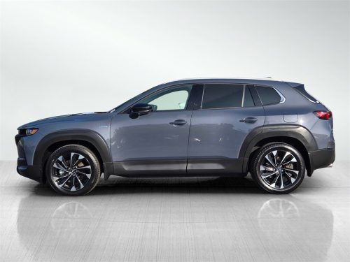 31c2366646b18662beb17015c0859d6fx