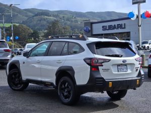 33a4575f3d181b8304ae50e776033795x