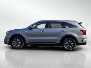 34314c274771a2fcca01ae4d3f7b430fx