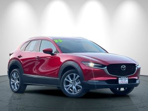 39ceca7940424d42063bd225a4920659x