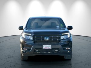 3a1331dacfec251dc8d6fd12d2d17244x