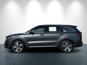 3cf370a0406a62fadba32c296a1e2526x