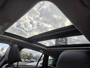 3e09e043ed5a7568bc0c6fe3d5a2c062x