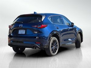 4281804c335e1567756886379dab3193x