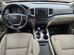 43d4d6288bfc5f7b2070f4f31f20dd19x