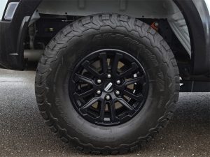 48f62086bb381a5dce2568568325e582x