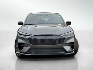 497f4405e7a5fe1b719be866cde548f7x