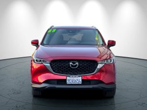 4c9bd87a7d864098658806cad4bf4cd9x