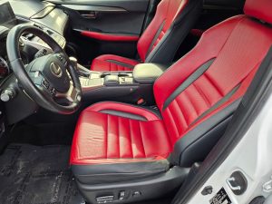 4edb172f57424a52f953197eaa36c335x