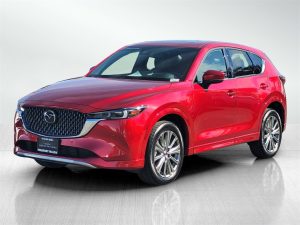 50251128d779139ccadd259e21c2a96fx