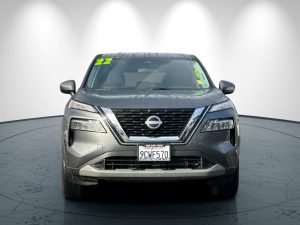 53ff330af348fba0c5d969c9e02c0733x