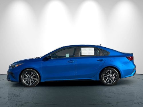 5917bdb796973bdd068407454d08b7abx