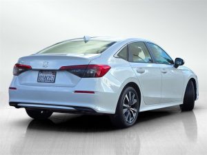 5a2c815f4dffc4bde43ef296d30455dbx