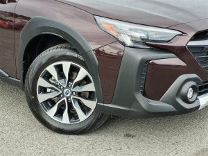 65e95e038993cfd9ecc7f6176f4f0ebcx