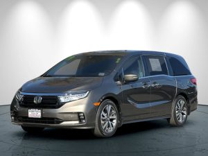 6a356919dbcb0309f12a33d7867e5a1bx