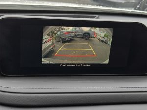 6f2027901cf98de34c5c230170b32313x