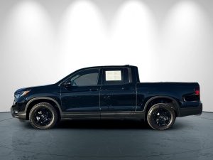 74168c8ad0ad508dc0d172d76166dc15x