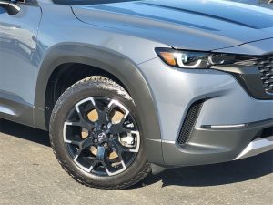 7ad07f3865a0c25bc8d6637ed9e4cc15x