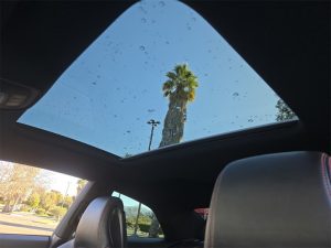 84488068a04ade916f3ebdc1a516d57ex