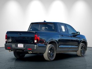 8687ceb8df8079ad6d8b02c95c6683fdx