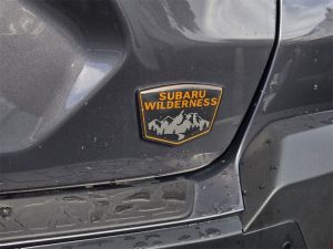 8e9bd934153c3b93efd9c35de0c74d1ax