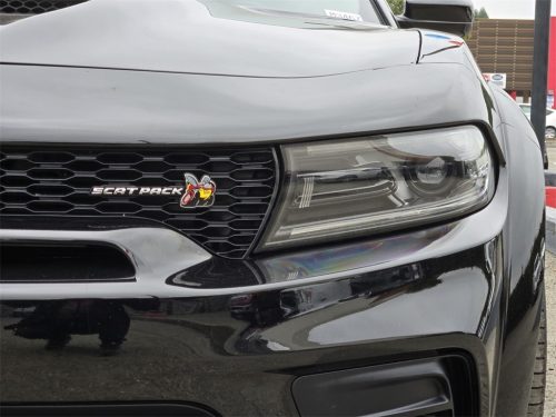 921568f82de2cf216fd4b504049dab15x