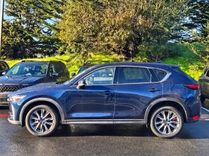 955d6467c7dfbed1909e3c2c2bc0d120x