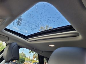 96f6dc7cfe2229246c50b6ea20e5b16dx