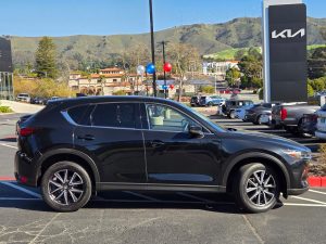 98881d229a2d2c1b36e7e832fe9c6bf5x