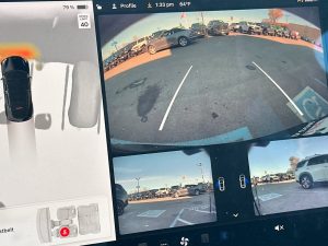 adfc0f224cec3c54b1c5e4e99c5a58f1x