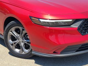 b1d743601ae5449321133f4f9e239afbx