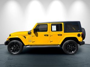 bfa1d66b646916c9644d4a99d8523cc6x