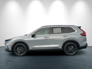 c53f866eb6201f9182e4421d9962d679x