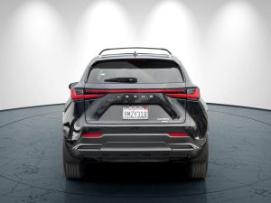 c688c1b436f80ae02b6c9d2420811371x