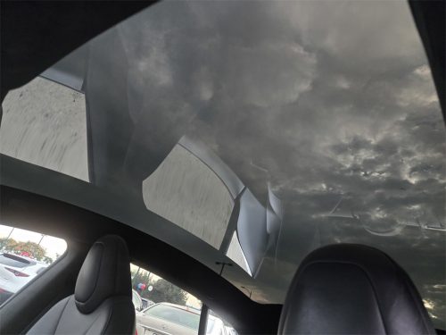 c9b09c6b48bbb19320578448b19826f8x