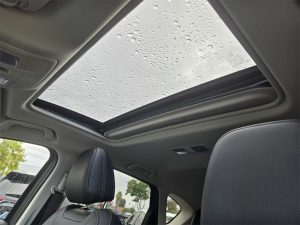 cddbb586501f3de2a275384685db2c67x