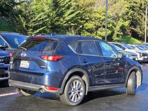 d54f3d56a646e047f1af2e9e53fc00cdx