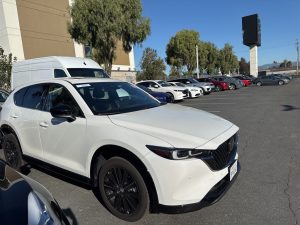 db233cdb8bbf252fc6cd35f283de3c39x