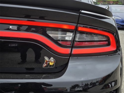 ddbb6ebec83c674ef47e7506dcdec165x