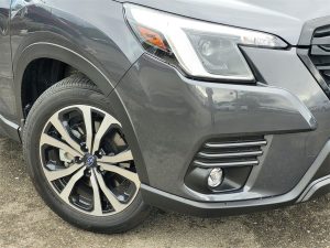 e32286dcd0b420bf6f1ff161f8f5fa78x